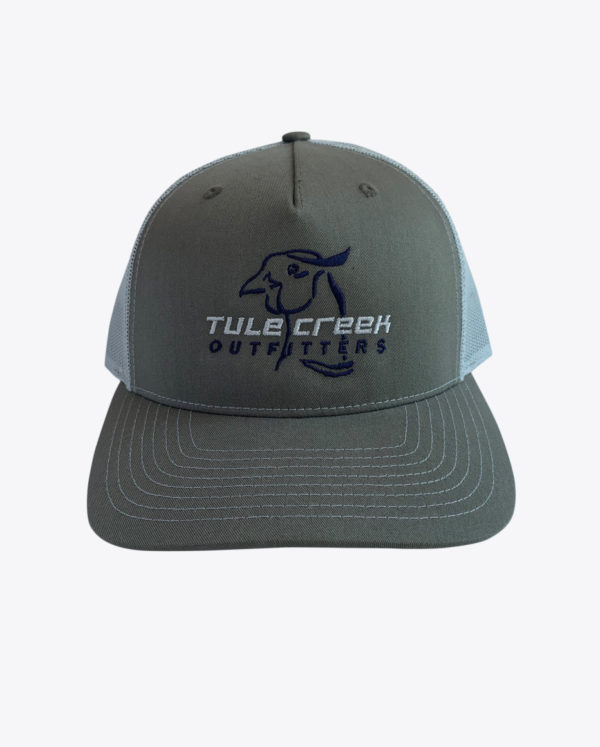 Tule Creek Sage Flat Panel Hat
